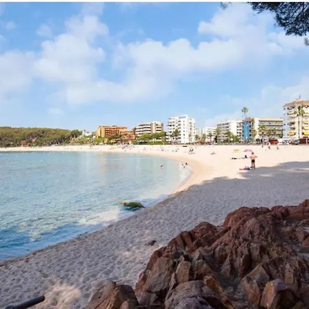 Apartment One Bedroom Flat In Fenals For 4 People